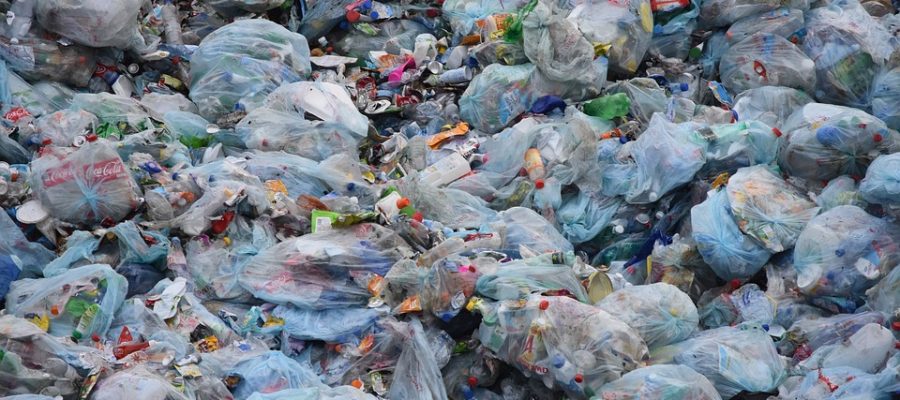 what is world environment day