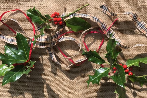 ecofriendly christmas