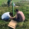 people doing maintenance to young trees for business