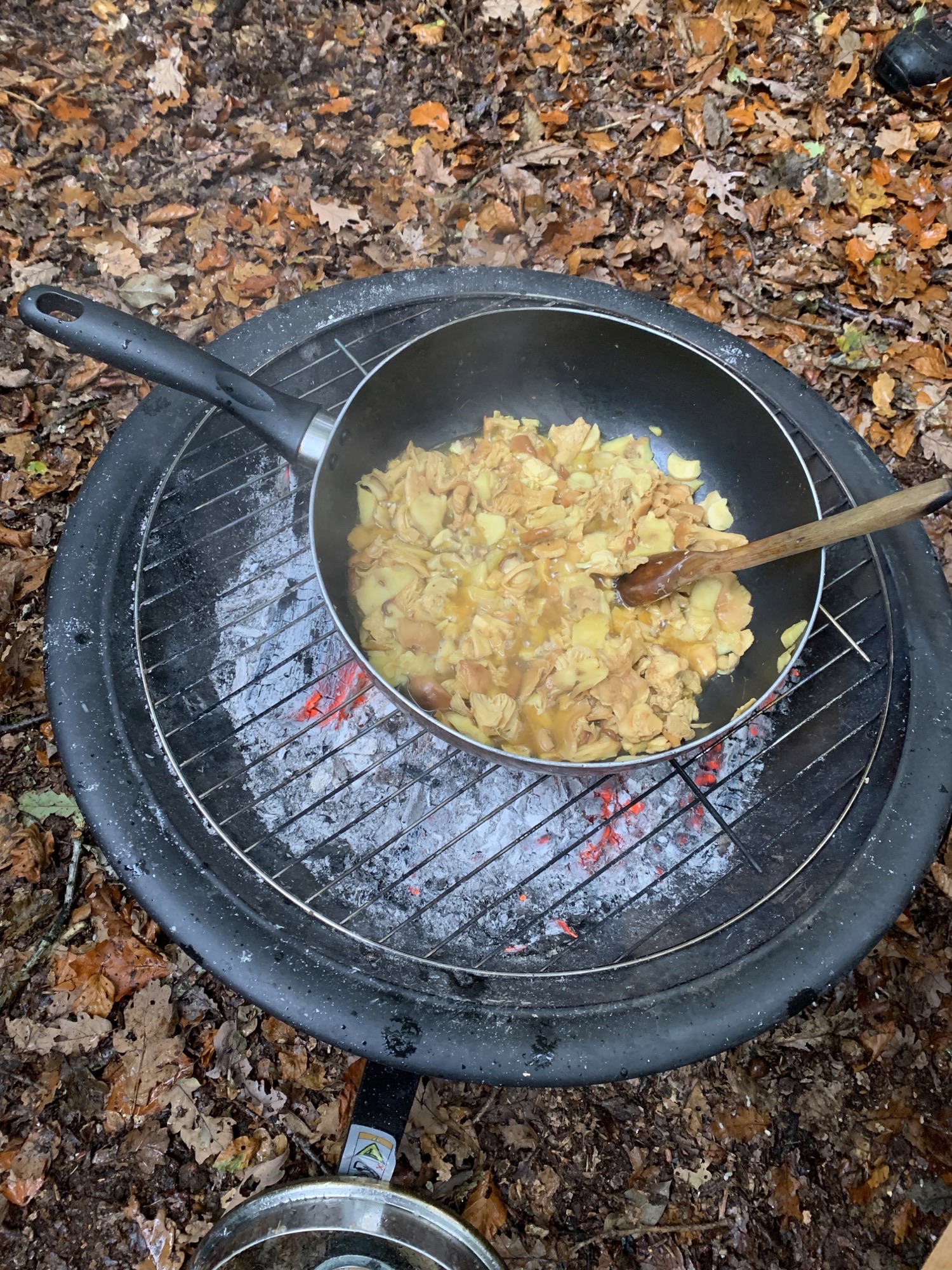 foraging in Yorkshire - cooking mushrooms